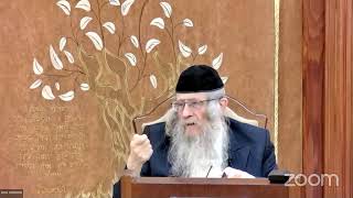 הגה"ח הרב וועכטר שליט"א כ"ח טבת תשפ"ד תפילה (הרב אברהם מנחם מענדל וכטר) - התמונה מוצגת ישירות מתוך אתר האינטרנט יוטיוב. זכויות היוצרים בתמונה שייכות ליוצרה. קישור קרדיט למקור התוכן נמצא בתוך דף הסרטון