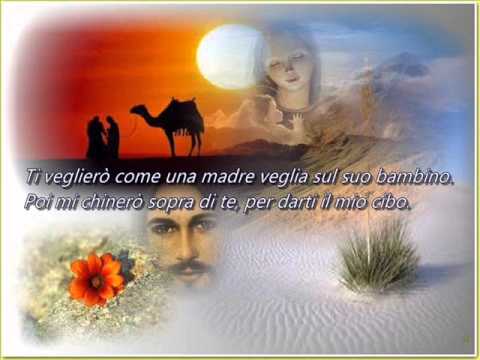 Canto del deserto  -  D.  Machetta