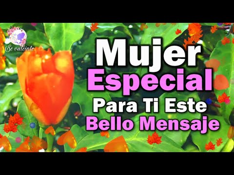 Mujer especial Para ti este bello mensaje con hermosas palabras para ti