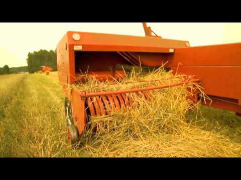 Junior Stress a.k.a. Jurek Dres & SUN EL BAND - Wieś się niesie (official video)