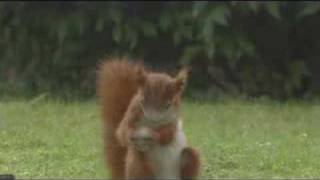 Verbal Has Mad Skillz