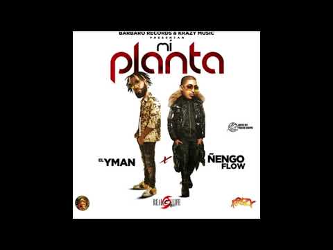 El Yman Ft.Ñengo Flow-Mi Planta (Audio Official)