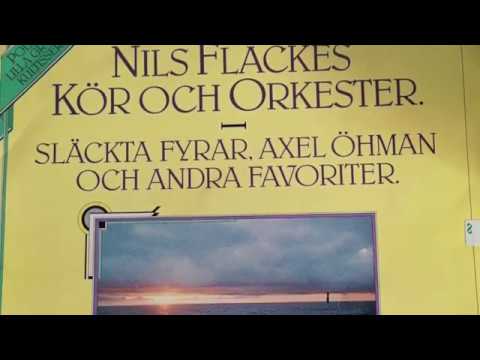 Dragspelstrix (Nils Fläcke)