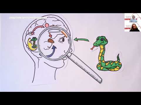 Angststörung bei Kinder und Jugendlichen, Dr. med. Eliane Siegenthaler