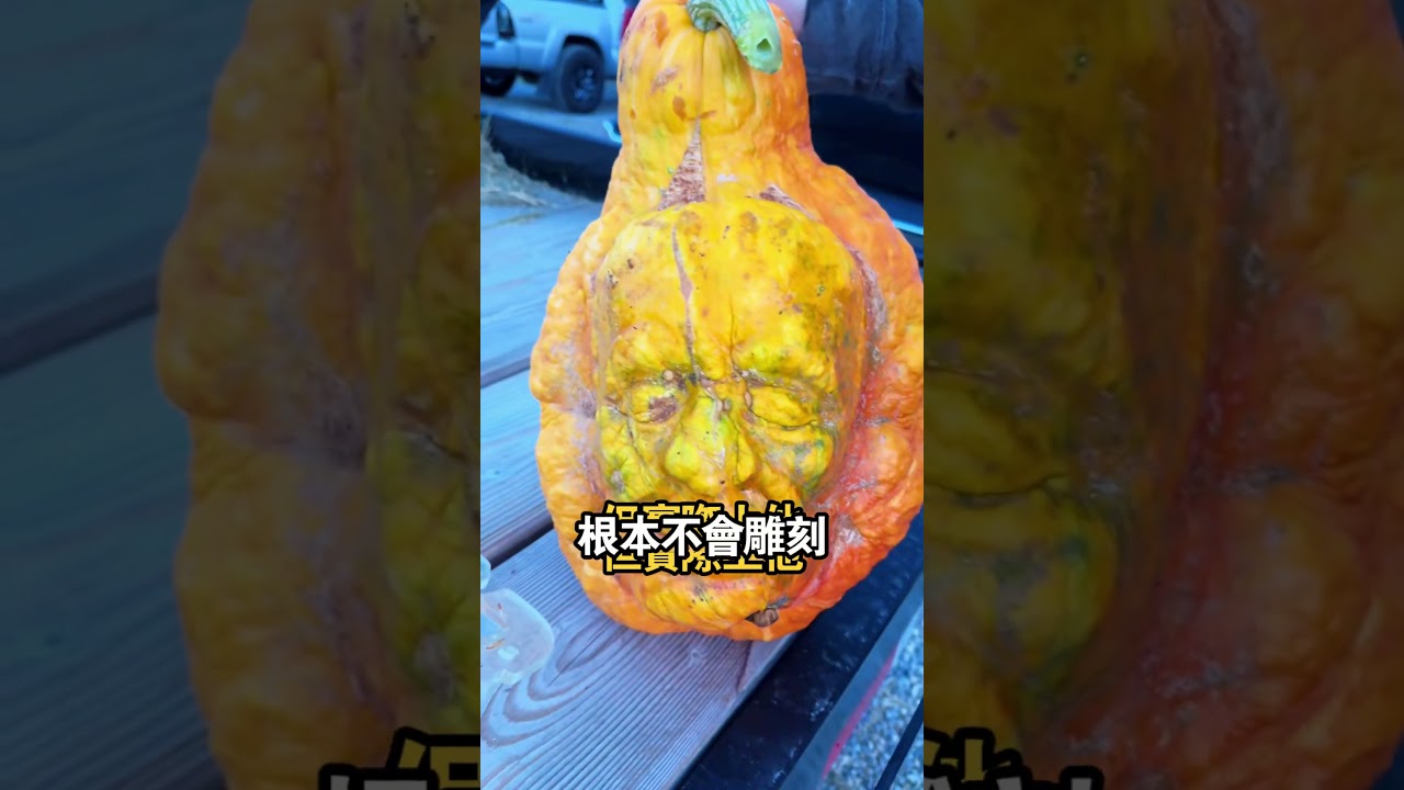 他的南瓜天生“鬼臉”？真相背後，是一場從生長就開始的陰謀！😱（TT：@pumpkinguru）