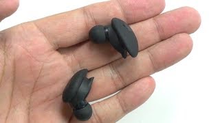 Are These True Wireless Earbuds Worth $100?