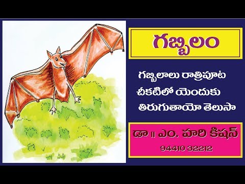 Telugu - Story 3 - తెలుగు నీతికథలు - gabbilam ( గబ్బిలం )