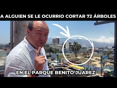 CRISTIAN ALVAREZ DESENMASCARA AL ALCALDE DE QUETZALTENANGO POR TALAR ARBOLES DE UN PARQUE, GUATEMALA