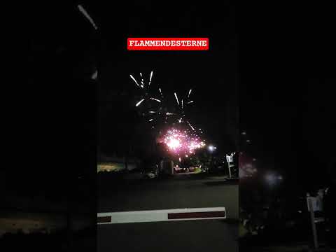 Flammendesterne 2025 Ostfildern #fireworks #abonnieren #like #feuerwerk #silvester #big #hype