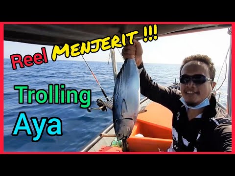 Ngolok Aya..  Reel Menjerit Tak Berhenti 😱