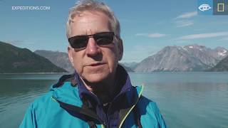 Tufted Puffins | Alaska | Lindblad Expeditions-National Geographic