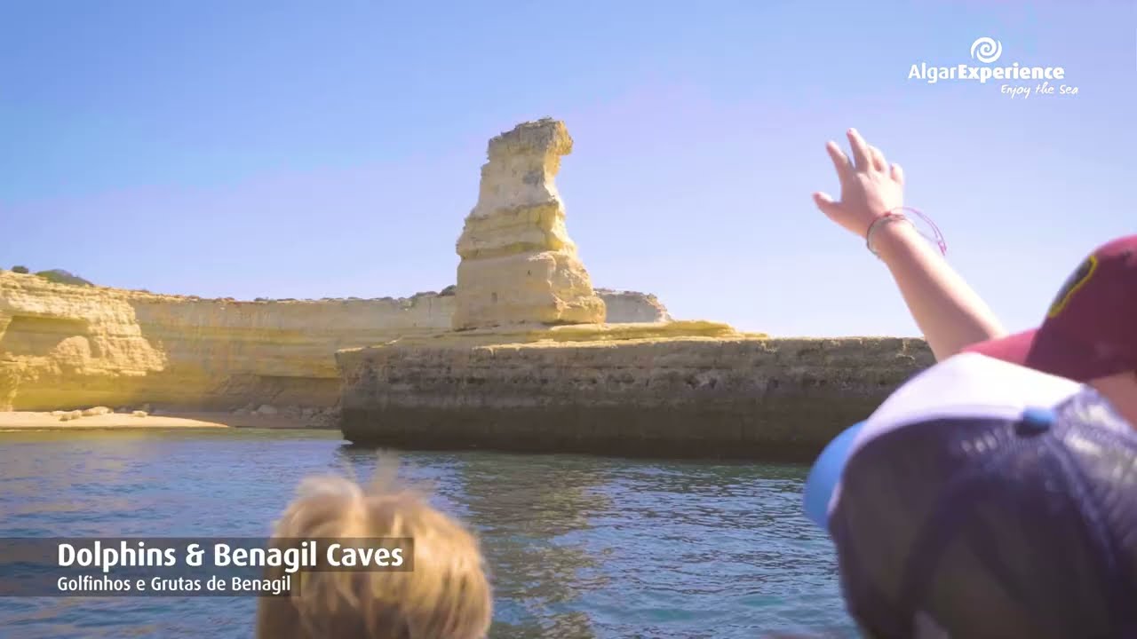 Embark on scenic dolphin watching boat cruise.