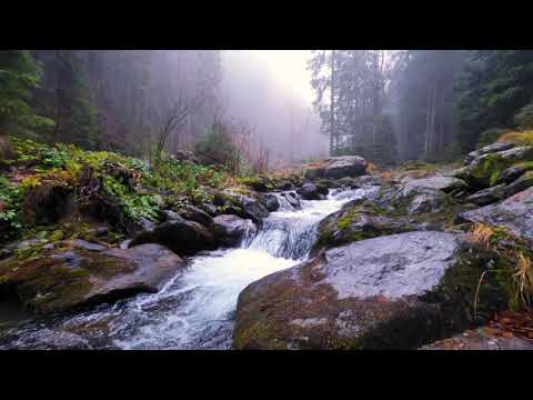 Naturgeräusche des Gebirgsflusses - Wasser fließt über Felsen im Misty Valley Forest