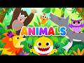 Wild Animals Song With Baby Shark Learn Animal Sounds Nursery Rhymes