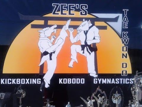 Zee's TaeKwonDo Classes