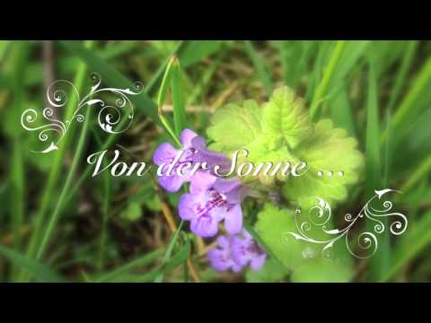 Jo Lenz Lyrics • »Hinterm Haus« • little beauties in nature