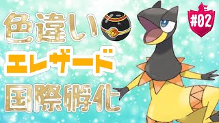 エリキテル ポケットモンスター モクロー グレイシア ヤングース エリキテル ポケットモンスター モクロー グレイシア ヤングース