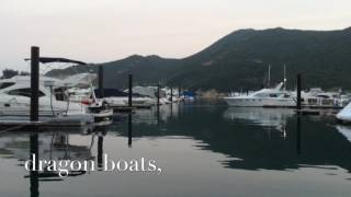 "Celebrate The Festival"