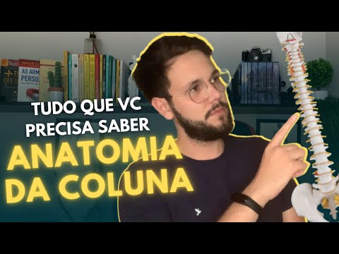 Anatomia simplificada da COLUNA VERTEBRAL