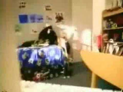 what are your kids learning