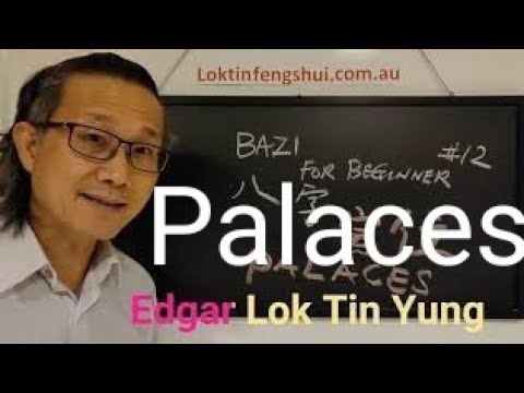Learn Bazi Chinese Astrology for beginners V 12. To read the Palaces & the 10 Gods in a Bazi Chart?