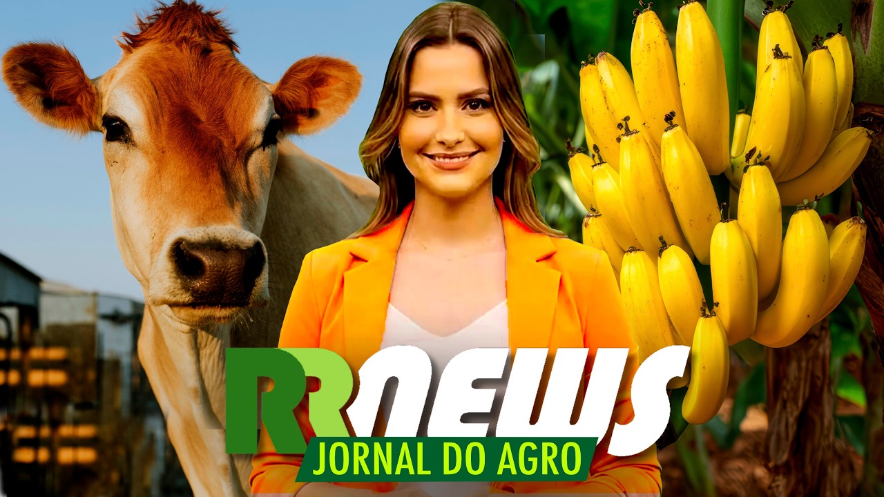 RRNEWS - O Jornal do Agro - 31/10/2026