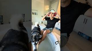 Longest day of my life… #dogsofyoutube #dogs #dog #husky #goldenretriever #baths