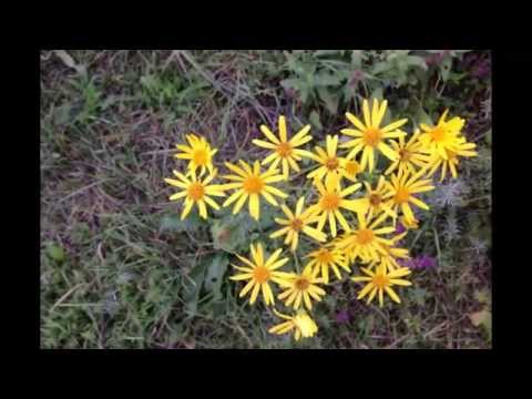 Vacanta la Hlipiceni!