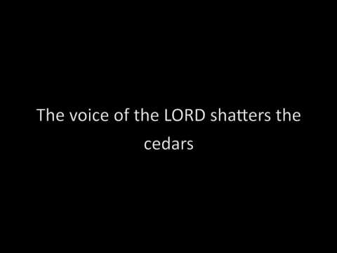 Psalm 29 (Lyric Video) (The Voice of the Lord) (feat. Nick Poppens) - The Psalms Project