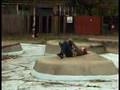 Casual Skateboarding At Bloblands London