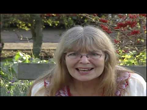 Bredevoort:Terug in de tijd met Hendrikje Stoffels.