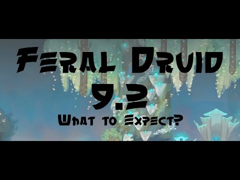 9.2 Feral Druid - What to expect