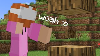 Minecraft in VR is so surreal
