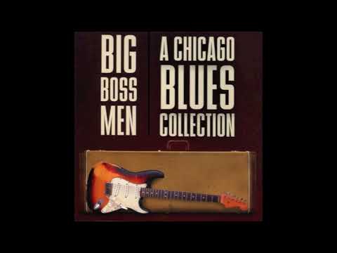 I Had It So Hard - Sunnyland Slim