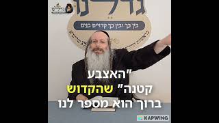 הורה שנותן משמעות מעניק חיים! | גדלנו #משמעות #חינוךילדים #גדלנו  #פרשת_שבוע #בהעלותך #חרדים