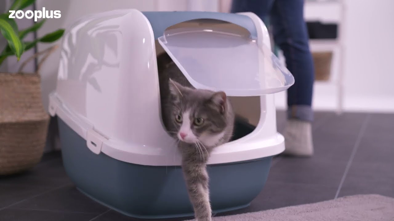 Tigerino Special Care żwirek dla kota –  Active Carbon | zooplus.pl