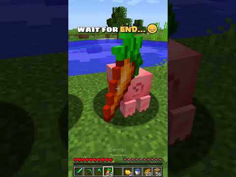 Sad Story Of Enderman 💔 - Past Lives | #shorts #minecraft