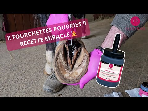 Dark Potion - bouteille à transvaser 500 ml - Youtube video