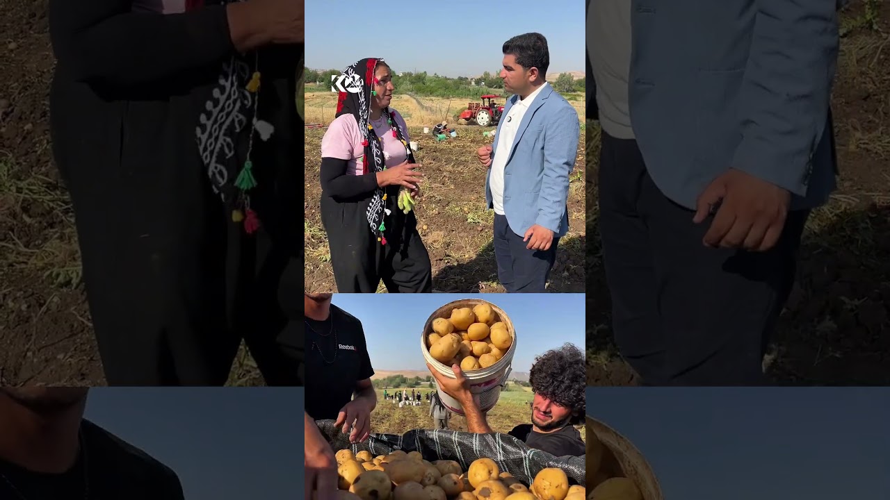 ڤیدیۆ | لەیلا محەمەد 10 ساڵ لە دەرمانخانە و تاقیگە کاریکردووە، بەڵام ئێستا سەرکاری کرێکارانە