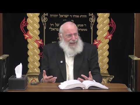 Mitzvas Pidyon HaBen | Weekly Shiur by Rav Asher Weiss Shlit"a (Korach 5786)