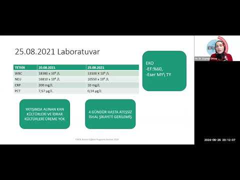 Emek Gerektiren Olgular EGO 26 haziran 2024