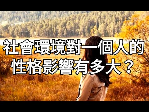 環境影響人