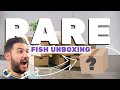 Unboxing My New Brackish Fish RARE