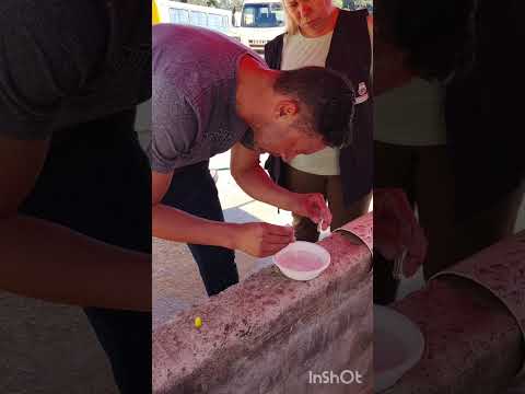 Foco da Dengue eliminado. Equipe Endemias Campo Magro Comemora.#campomagro #vivaosus #dengueaquinao