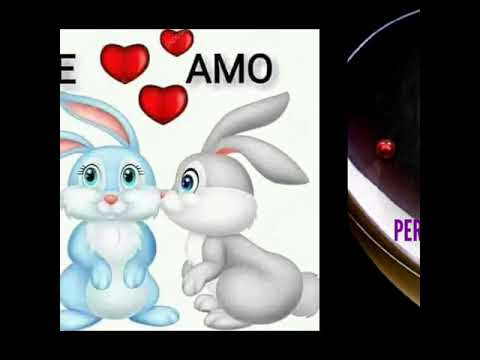 AMOR PERDONAME, LOS RODARTE