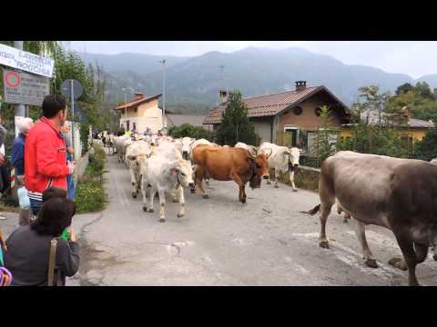 SAN LUCA a DEMONTE (CN) 2014