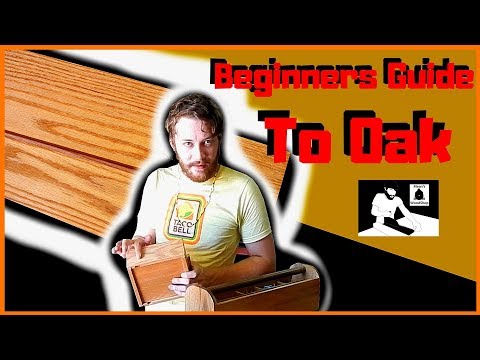 Beginners Guide To Wood Species - Everything To Know About Oak