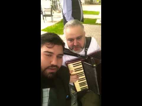 Nelutu salam - te vreau mereu in viata mea 2019