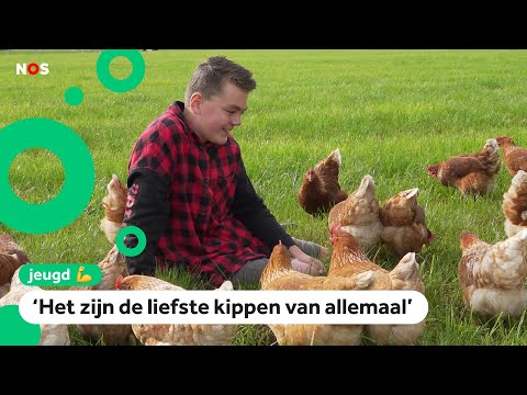 , title : 'Sem (13) verdient geld dankzij zijn 100 kippen'