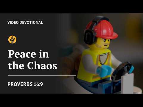 Peace in the Chaos | Proverbs 16:9 | Our Daily Bread Video Devotional
